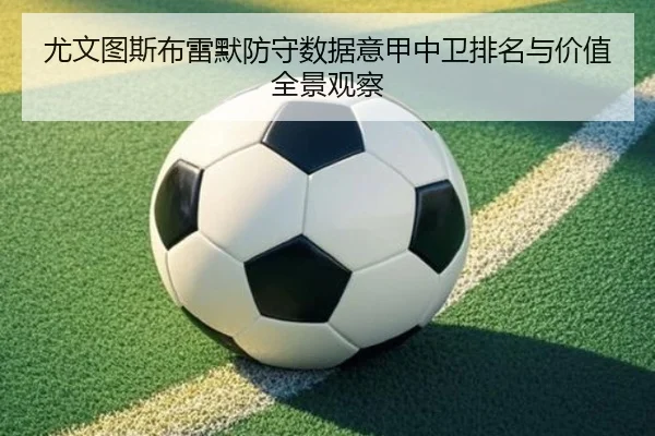 尤文图斯布雷默防守数据意甲中卫排名与价值全景观察