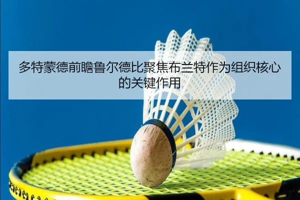 多特蒙德前瞻鲁尔德比聚焦布兰特作为组织核心的关键作用