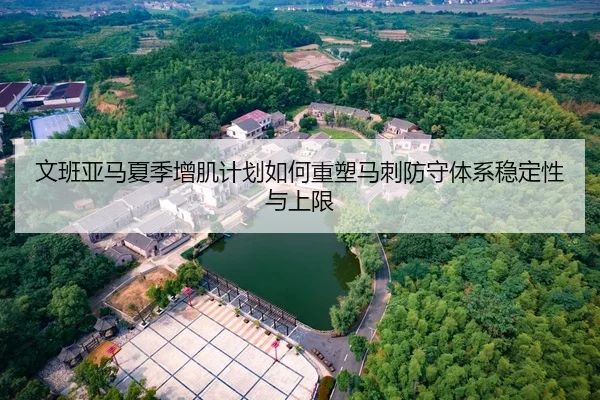 文班亚马夏季增肌计划如何重塑马刺防守体系稳定性与上限